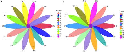 The microbiota diversity of Festuca sinensis seeds in Qinghai-Tibet Plateau and their relationship with environments